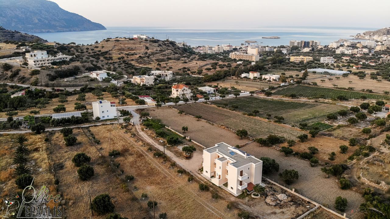 Olive Epavlis Lägenhet Karpathos Exteriör bild